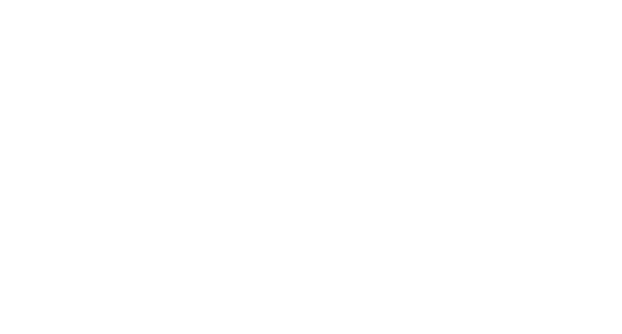IBM Investment Ltd.
